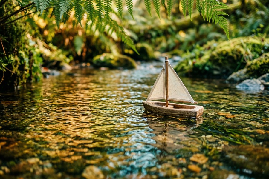 Monthly calendar highlighting payday and automated sinking fund transfer dates.