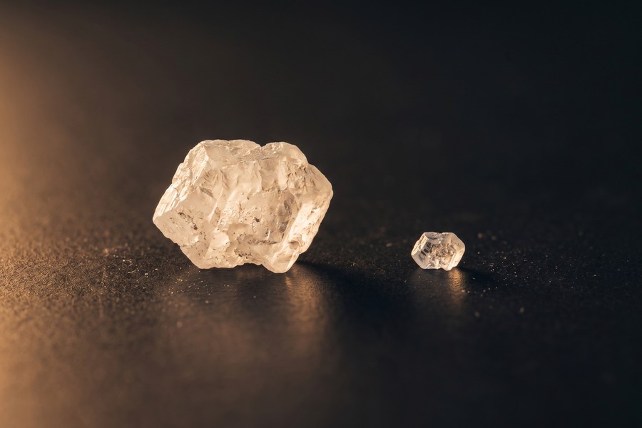 Side-by-side comparison of digital photo before and after Kodak Portra grain applied in Lightroom Mobile